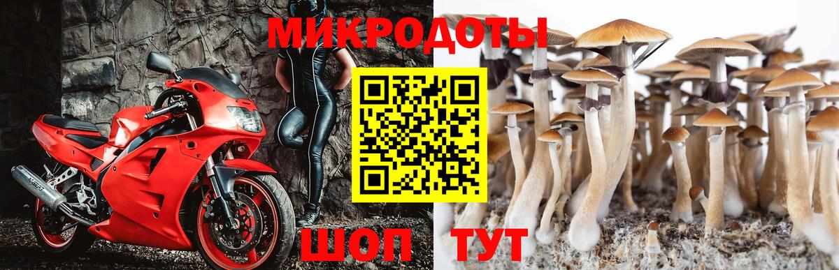 Галлюциногенные грибы Psilocybine cubensis Семёнов
