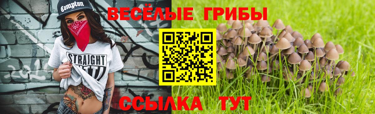 Галлюциногенные грибы Cubensis  Вход с VPN  Семёнов 